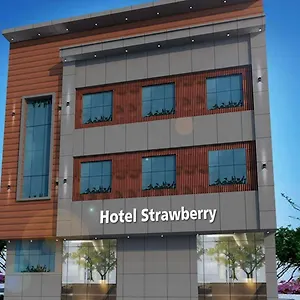 https://strawberry.shimlahotels.net